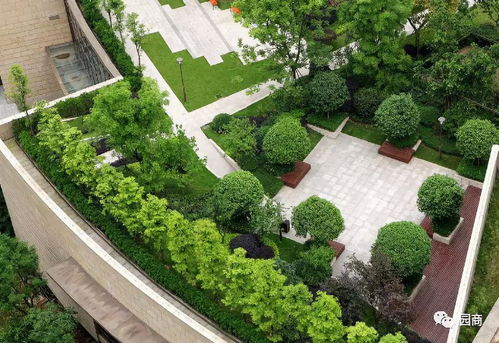 屋頂園林景觀設(shè)計 建筑工程中的空中綠洲